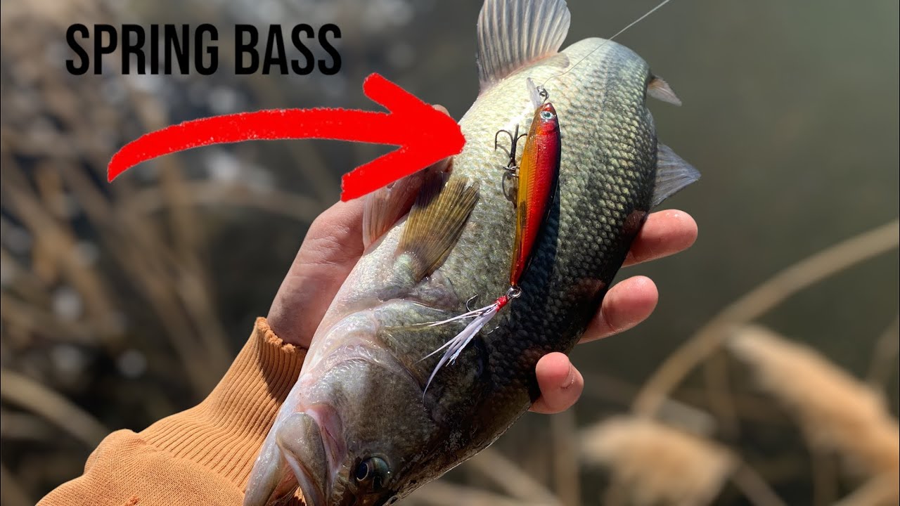 Late winter Golf course bass fishing