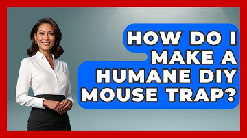 How Do I Make A Humane DIY Mouse Trap? - Insects and Invaders