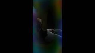 Sampai kapan pun (ungu)