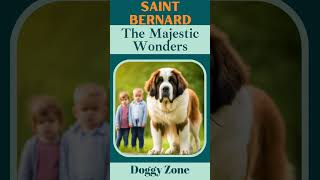 The Gentle Giants! | The Majestic World of Saint Bernards | Dog Breeds