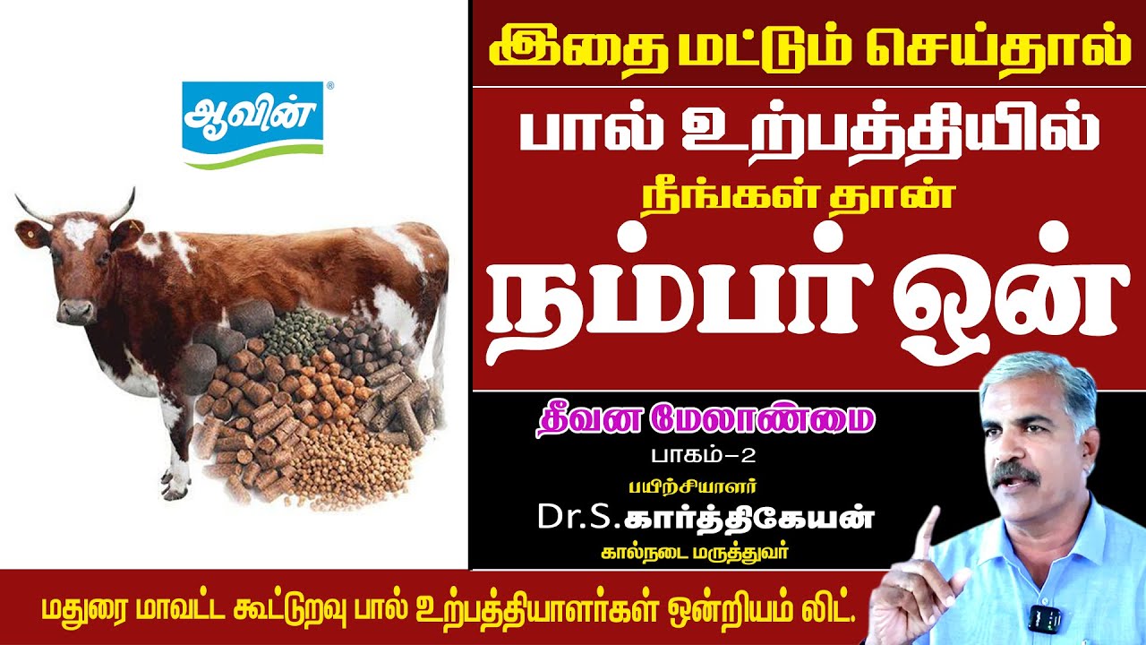பால் உற்பத்தியில் நீங்களும் நம்பர் 1 ஆக வேண்டுமா | தீவன மேலாண்மை  |  Ration balancing | aavin