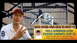 PAKDE KARWO CUP VI, Kacer Legendaris