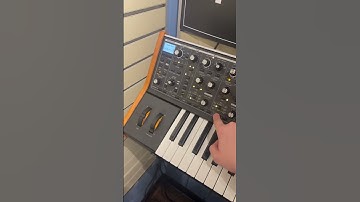 Moog Subsequent 37 at Guitar Center #moog #sub37 #moogsub37 #synth