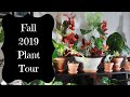 Fall 2019 Houseplant Tour!!!