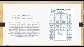 HCA 415 Final Presentation