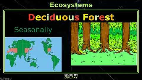 5th Grade - Science - Ecosystems - Topic Overview