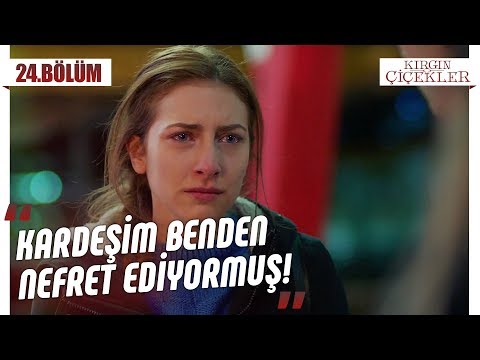 Kardeşinden Cemre’ye büyük tuzak! - Kırgın Çiçekler 24.Bölüm