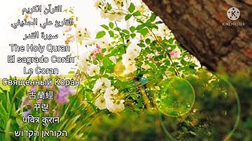 القارئ علي الحذيفي سورة القدر HD