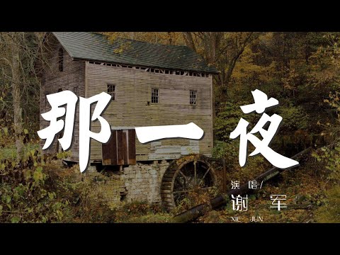 那一夜 - 謝軍『那一夜 我傷害了你』【動態歌詞Lyrics】