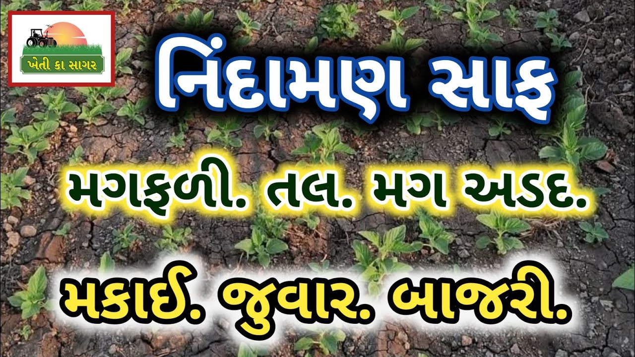 જુવાર મકાઈ બાજરી તલ મગ અડદ મગફળી. જેવા પાકો માં નિંદામણ  #khetikasagar #નિંદામણ 
