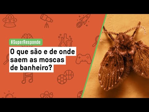 Vídeo: Onde as moscas pretas se reproduzem?