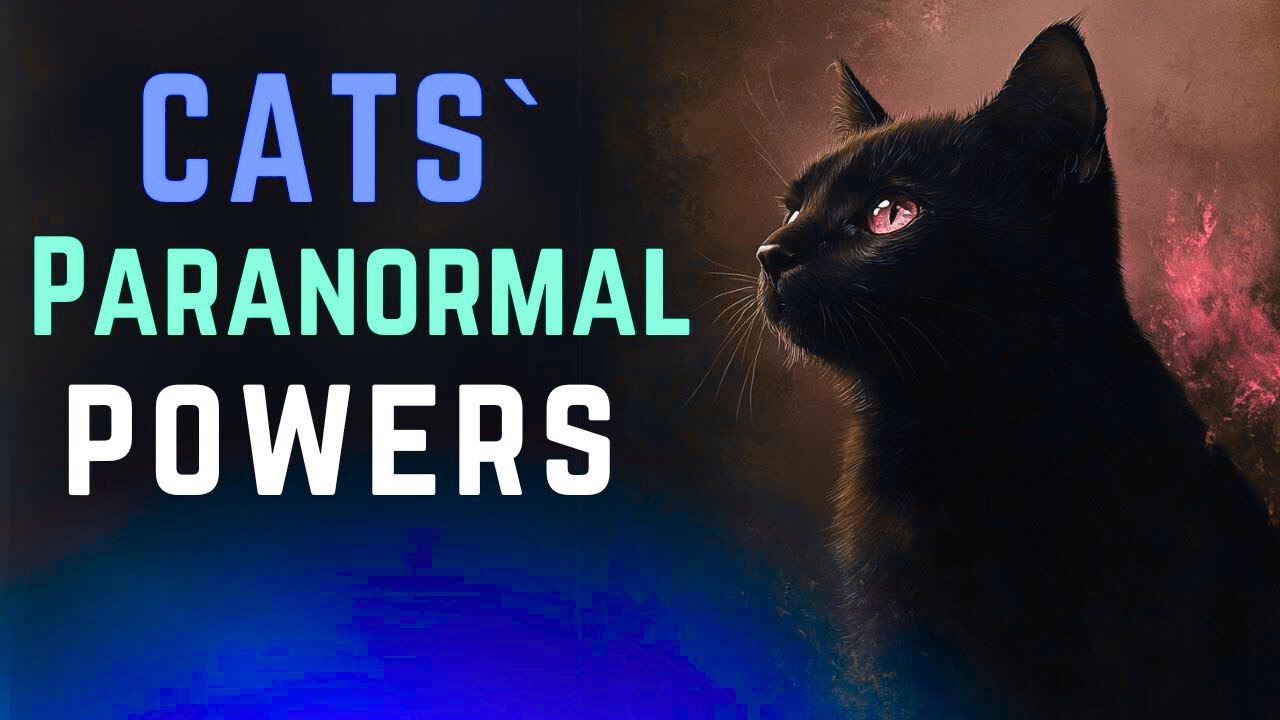 CATS' PARANORMAL POWERS in Islam: Hidden Mysteries, Spiritual Signs & Unseen Protection Explained