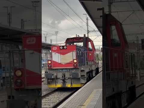 714 204 - Veselá kráva