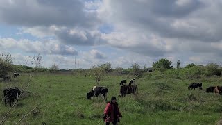 Чем занималась Обзор покупок