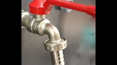 Hướng dẫn lắp bộ lọc nước cùng với bạn mèo tinh nghịch