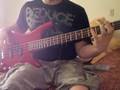 Carnival bass cover