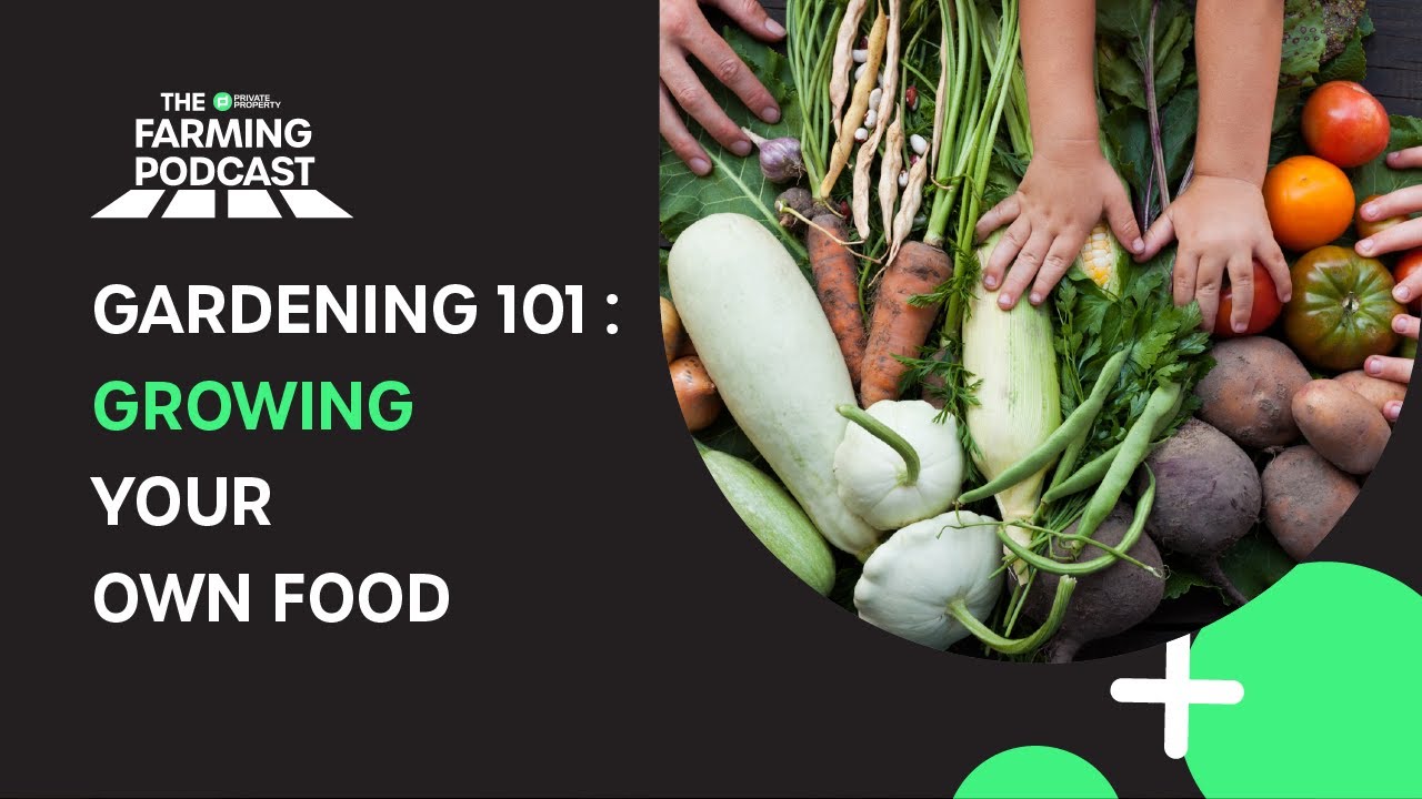 EPISODE 64: GARDENING 101 : GROWING YOUR OWN FOOD - YouTube