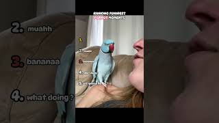 Ranking Funniest Parrot Moments