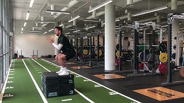 Box Jump (Squat) - Exercise Demo