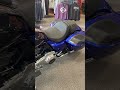 Which Harley Color Would You Pick? #motorcycle #harleydavidson