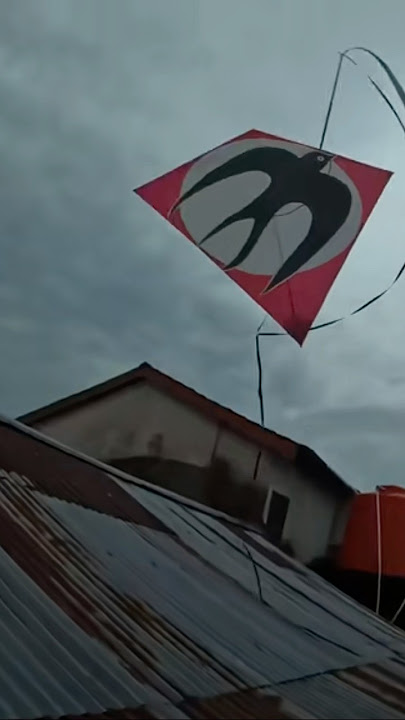 TAKE A BROKEN KITE ON THE ROOF TILES OF A CS RESIDENT'S HOUSE‼️ #barbar1an #kites #attachedcs