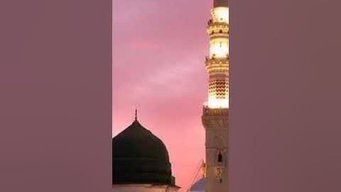 تلاوة عطرة من ايات من الذكر الحكيم بدون حقوق طبع ونشر