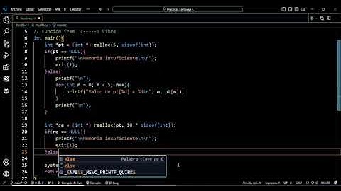 Video 55   Curso lenguaje C - Funciones realloc y free