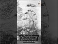 5 Bizarre Photos From History!