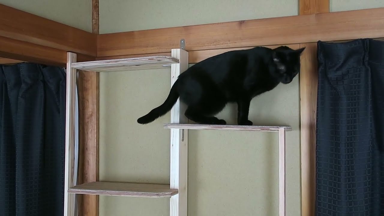 よっこいしょ Youtube