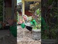 emak panggil tono #funny #shorts
