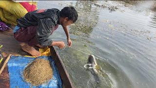 Amazing fishing video 😲।। Best Hook Fishing video 2024।।#bigfish @FisherBoyDev7417