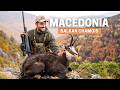Hunting World Class Chamois in Macedonia Mountains