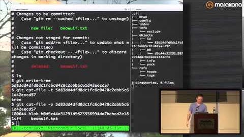 Git From the Bits Up