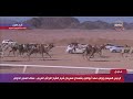 عرض سباق الإبل في مهرجان شرم الشيخ التراثي العربي- سباق الهجن الدولي