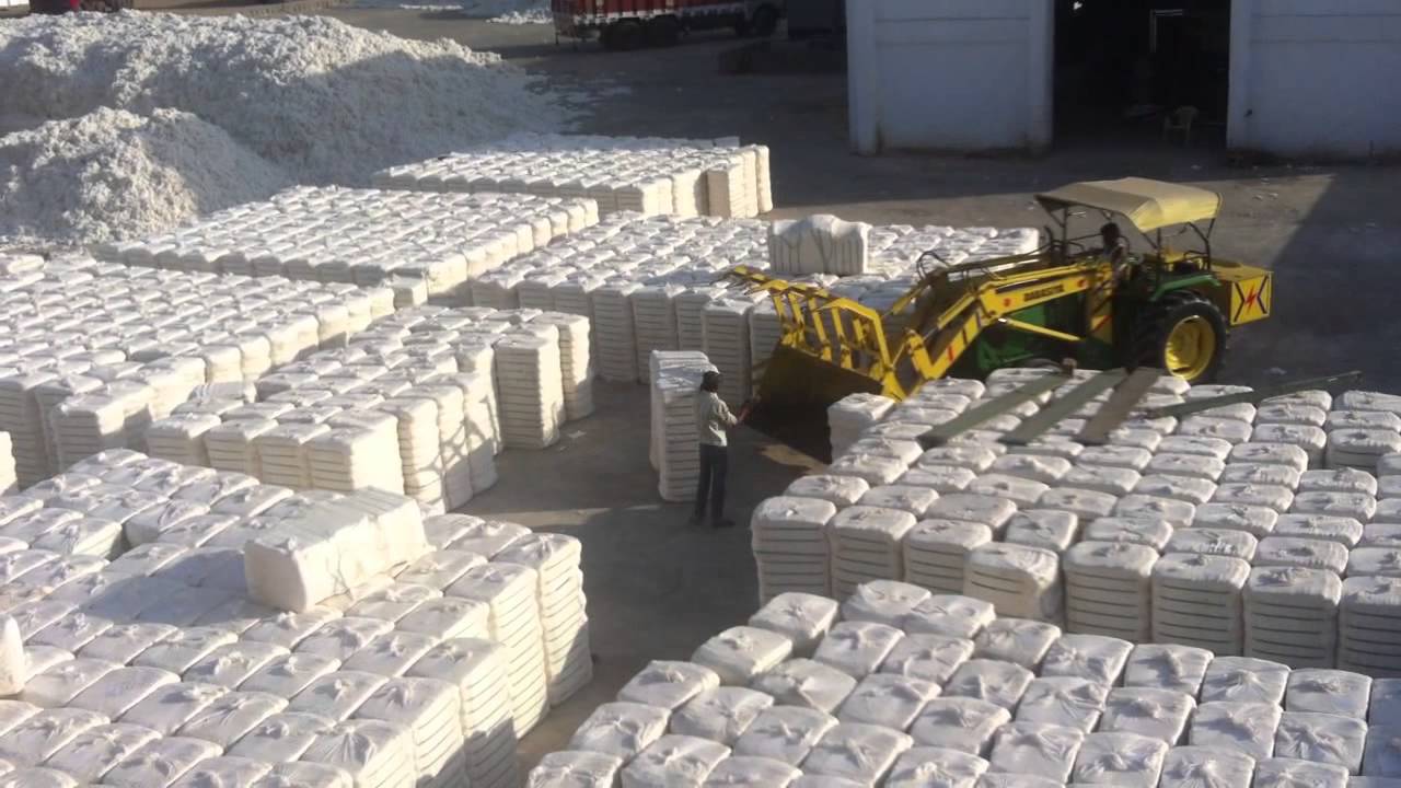 Surya Cotton Industries, Kutch,Gujrat YouTube