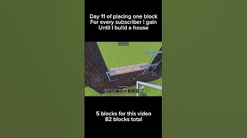 Day 11 of placing one block for every subscriber I gain until I build a house