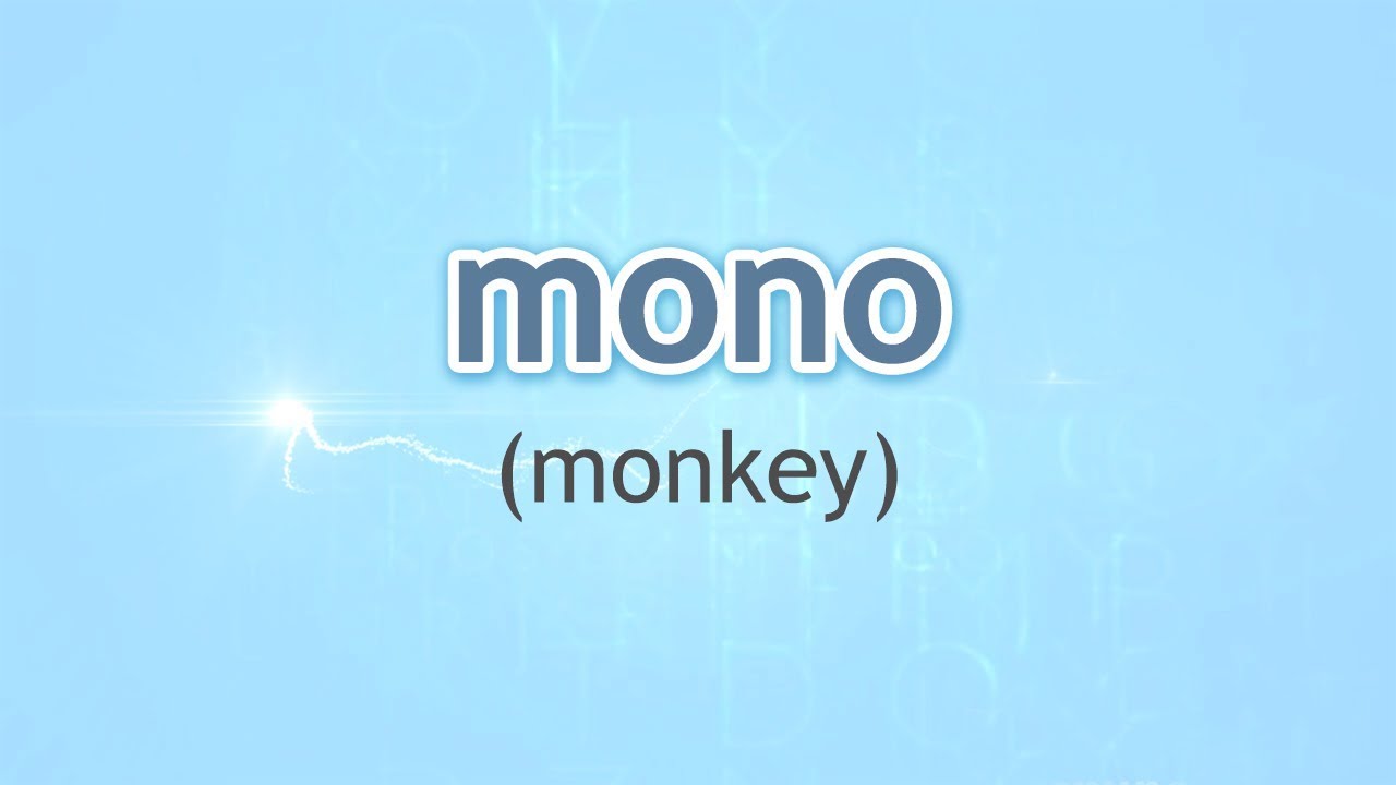 How to Pronounce Monkey (Mono) in Spanish YouTube