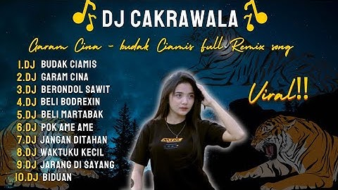 DJ  CAKRAWALA X GARAM CINA X BUDAK CIAMIS | DJ VIRAL REMIX SONG‼