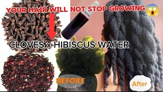 HOW TO MAKE CLOVES and HIBISCUS WATER for MASSIVE HAIR GROWTH @rayshelltv