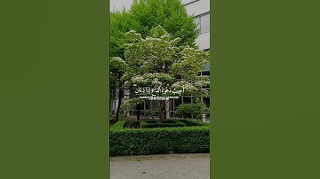 #تلاوة_خاشعة #اكسبلور #القرآن_الكريم #قرآن #duet #quran #راحة_نفسية #تلاوة_هادئة