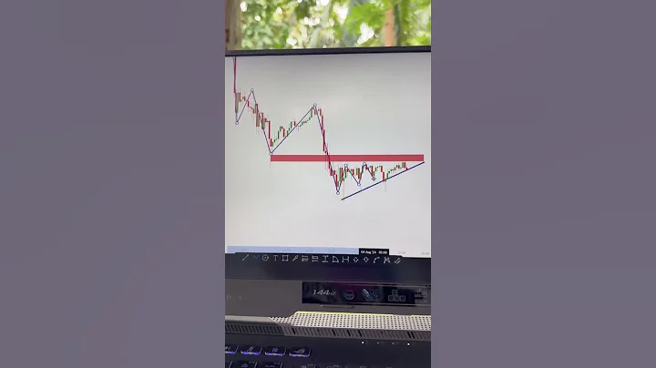 The most expensive Good afternoon