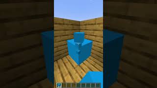 #minecraft #trolling #illusion