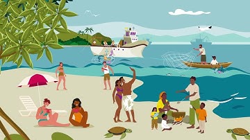 A Shared Vision and a Roadmap for Effective Marine Spatial Planning