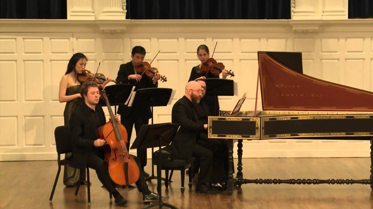 String Fail Baroque E-string Fail - YouTube