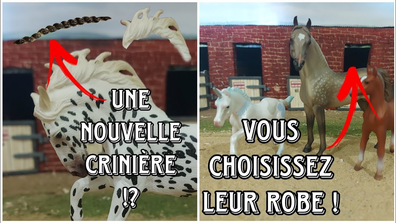 [Colis] Commande MPV avec Robin et vous m'aider à choisir les robes des customs !