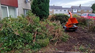 Homeowners left place ABANDONED!! we got to clear the 10+ years UNTOUCHED GARDEN!!!  #stihl#garden