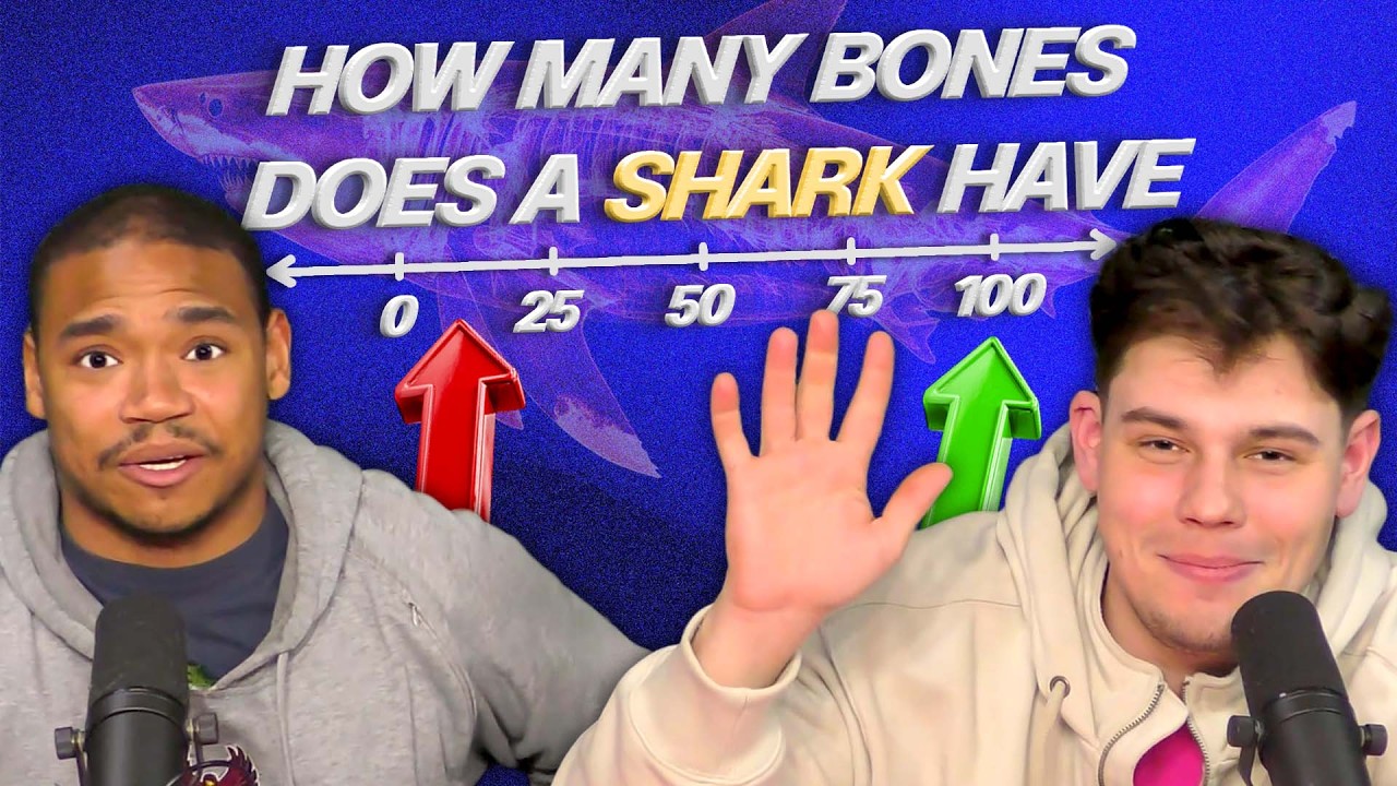 The More They're Wrong, The More They Drink!