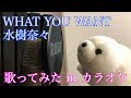 【歌ってみた】水樹奈々 / WHAT YOU WANT 【カラオケ】( nana mizuki's song cover )