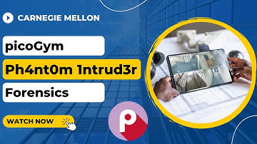 picoGym (picoCTF) Exercise: Ph4nt0m 1ntrud3r