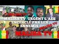 Maliba tv urgent attention les pays de laes  livraison quipements militaires usa au sngal